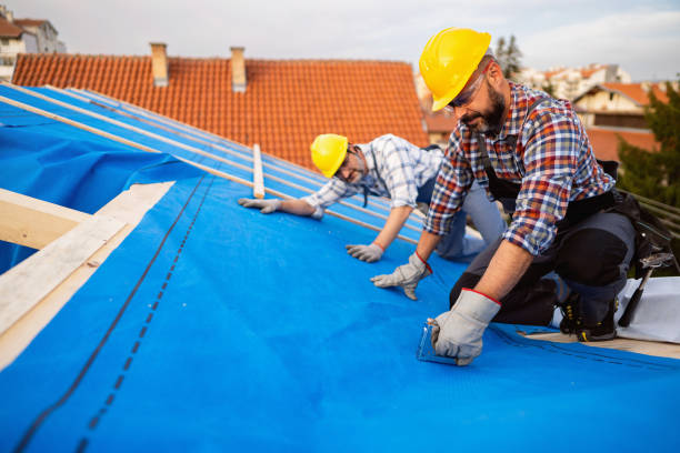 Roof Coating Services in Coleraine, MN